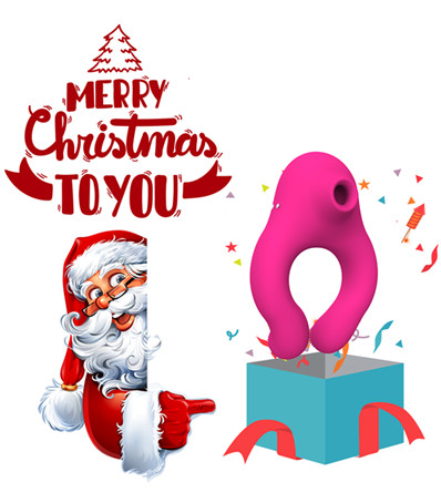 2021 New Year Sucking Vibrator Clit Sucker Nipple 